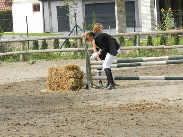 Babie Lato 2016